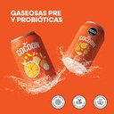 Cocoon - Gaseosas Pre y Probioticas Naranja