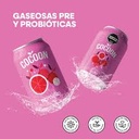 Cocoon - Gaseosas Pre y Probioticas Pomelo