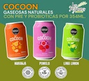 Cocoon - Gaseosas Pre y Probioticas Naranja