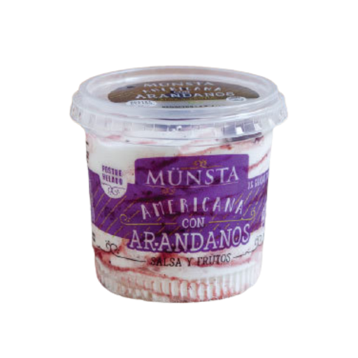 Munsta - Postre helado americana con salsa de arándanos y arándanos frescos (Pote 130gr)