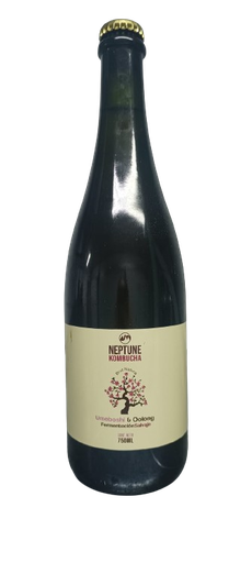 Neptune Kombucha - Kombucha brut natura umeboshi (750ml)